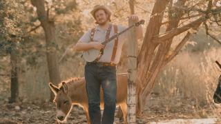 Willi Carlisle header