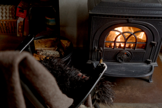 bjorn van der doelen