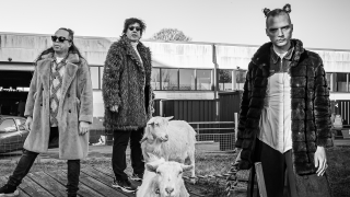 Prins S en de geit