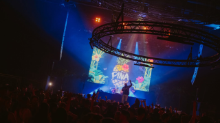 pina nov header